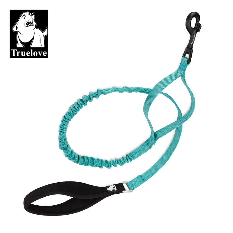 durable dog leash