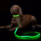 LED dog leash, flashing light, safety at night 
