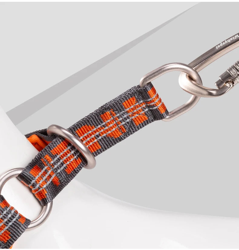 Reflektierendes Hundehalsband