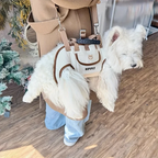 Adjustable outdoor pet carrier bag with harness clip 