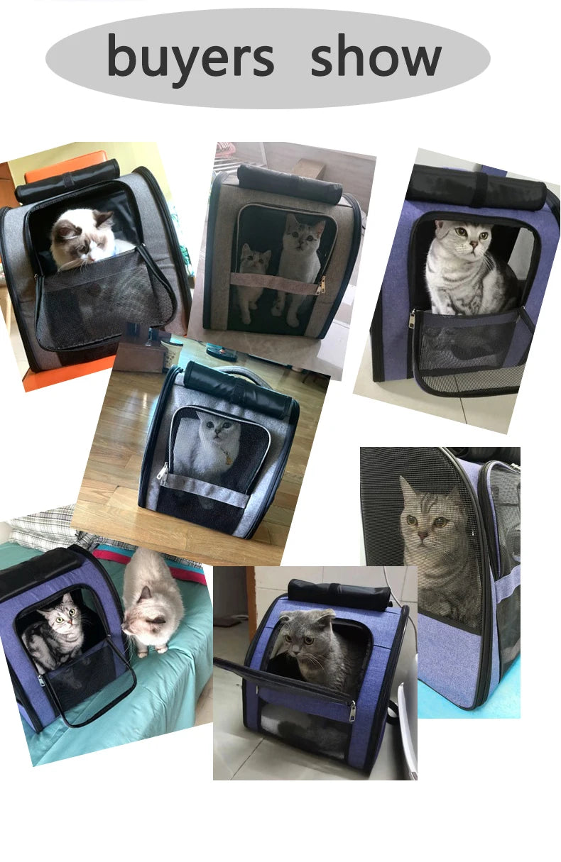 Leichter, atmungsaktiver Katzenrucksack aus Netzgewebe