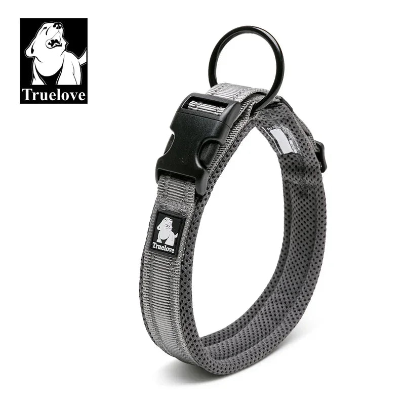 Reflektierendes Hundehalsband