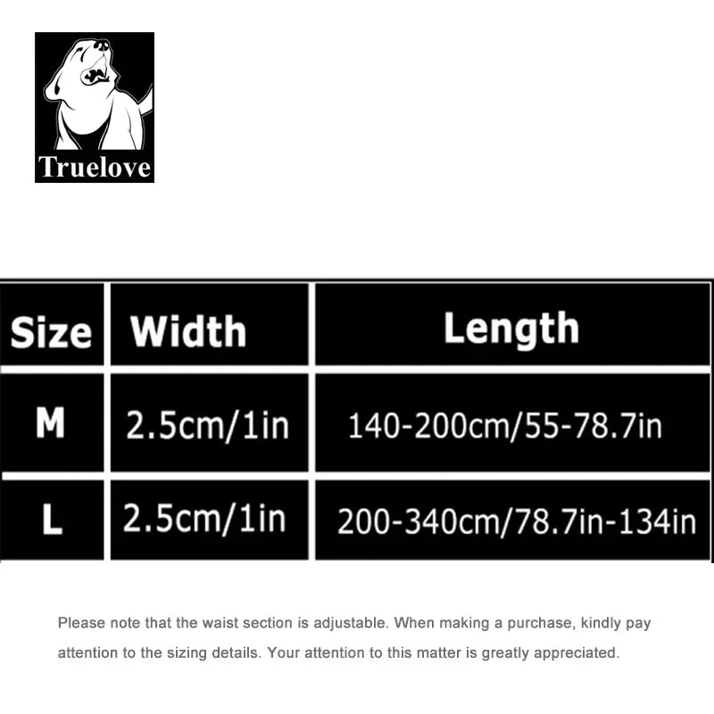 Laisse chien durable réfléchissant