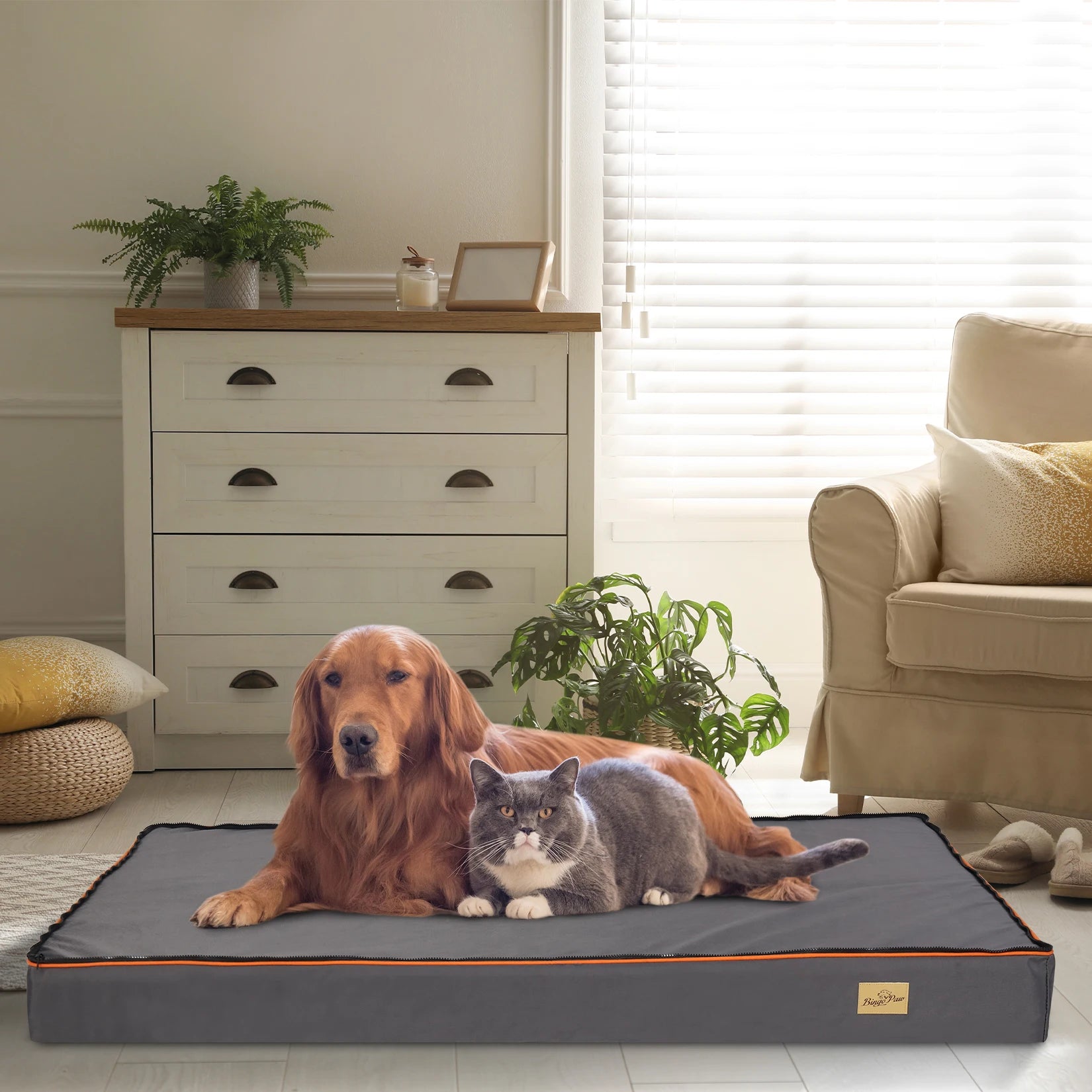 Large orthopedic dog bed with washable cover