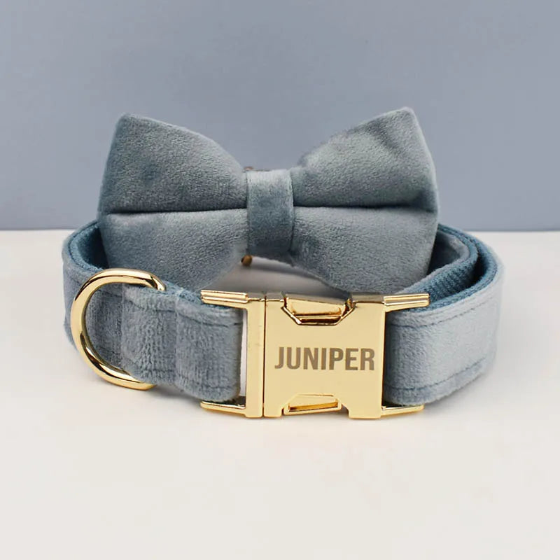 Anpassbares Samt-Hundehalsband