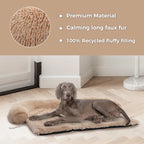 Soft, warm, washable dog/cat bed mat for winter.