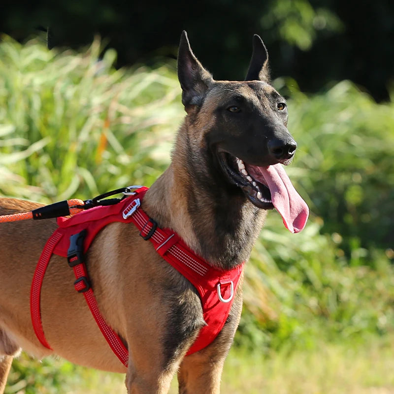 Reflektierendes Hundegeschirr