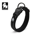 Reflektierendes Hundehalsband