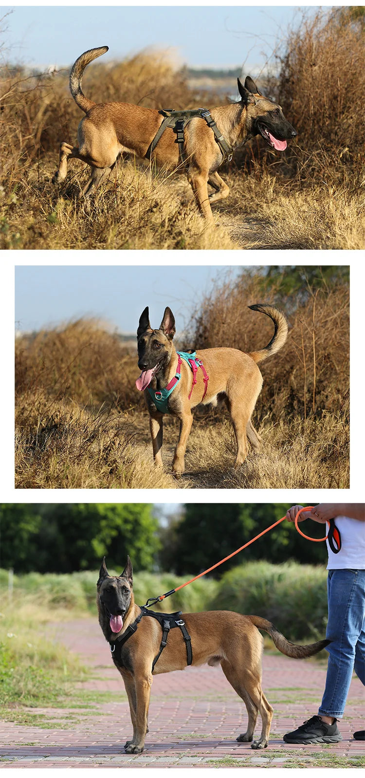 Anti-Zug-Hundegeschirr