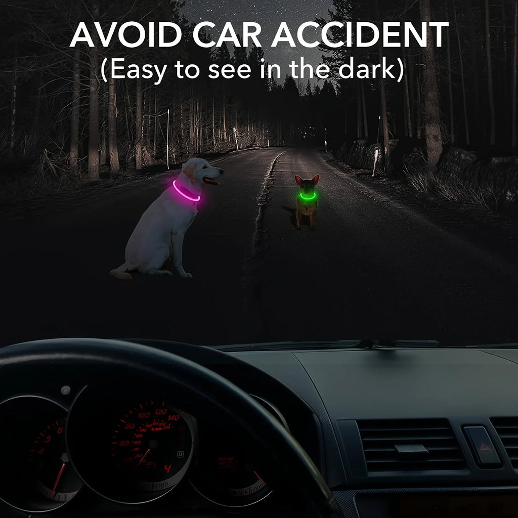 Collier LED-Hunde-USB-Leuchte, wiederaufladbare Nacht 