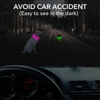 Collier LED-Hunde-USB-Leuchte, wiederaufladbare Nacht 