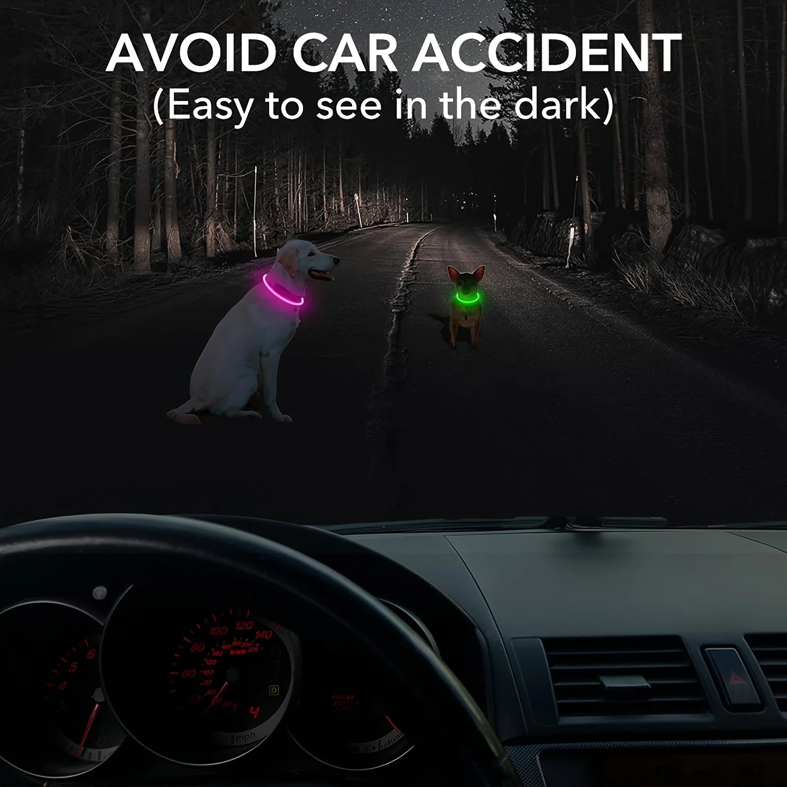 Collier LED-Hunde-USB-Leuchte, wiederaufladbare Nacht 