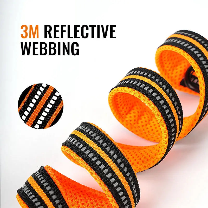 Strapazierfähige, reflektierende Hundeleine