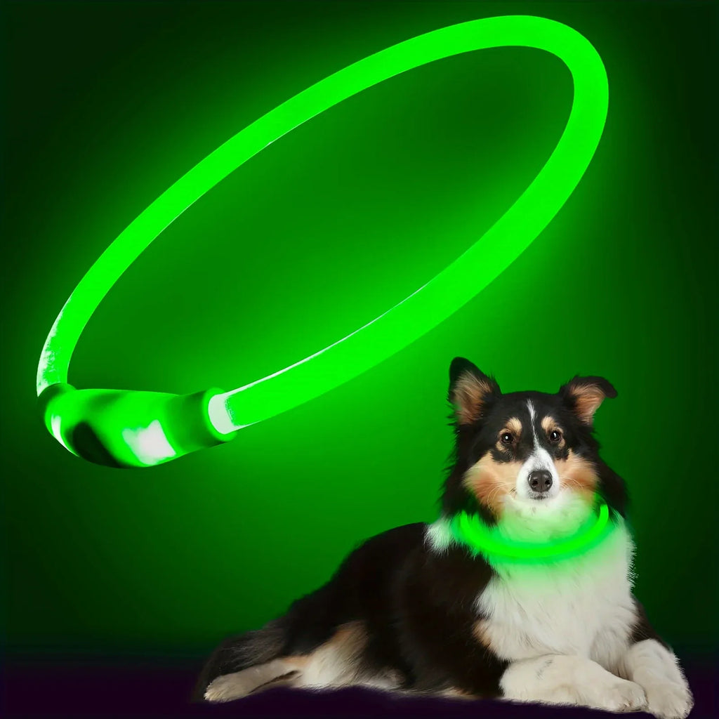 Collier LED-Hunde-USB-Leuchte, wiederaufladbare Nacht 