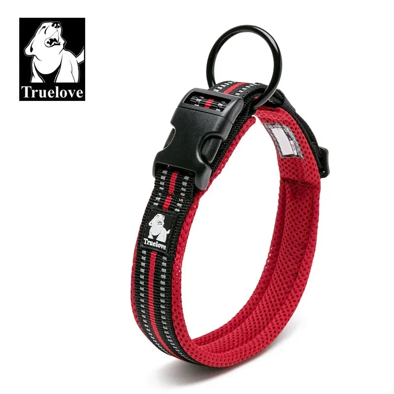 Reflektierendes Hundehalsband