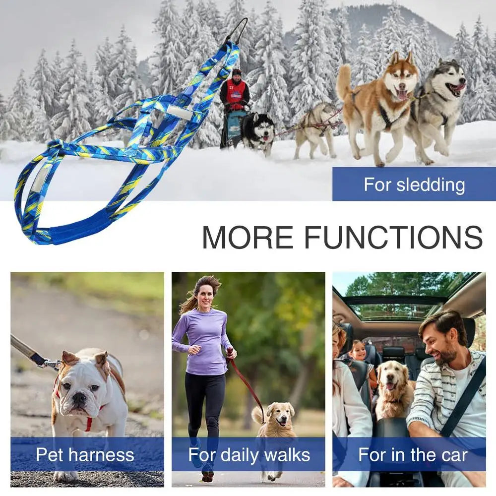 Reflektierendes Hundegeschirr