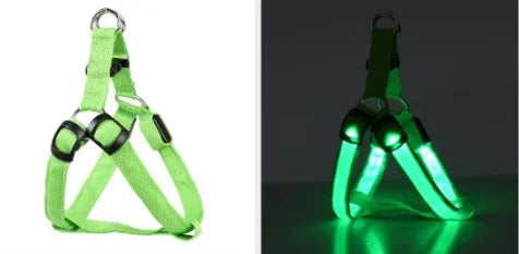 Reflektierendes Hundegeschirr