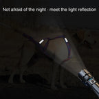 Reflektierendes Hundegeschirr