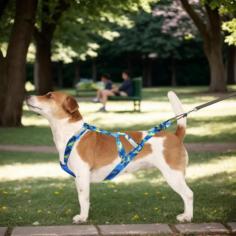 Reflektierendes Hundegeschirr
