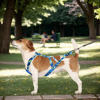 Reflektierendes Hundegeschirr