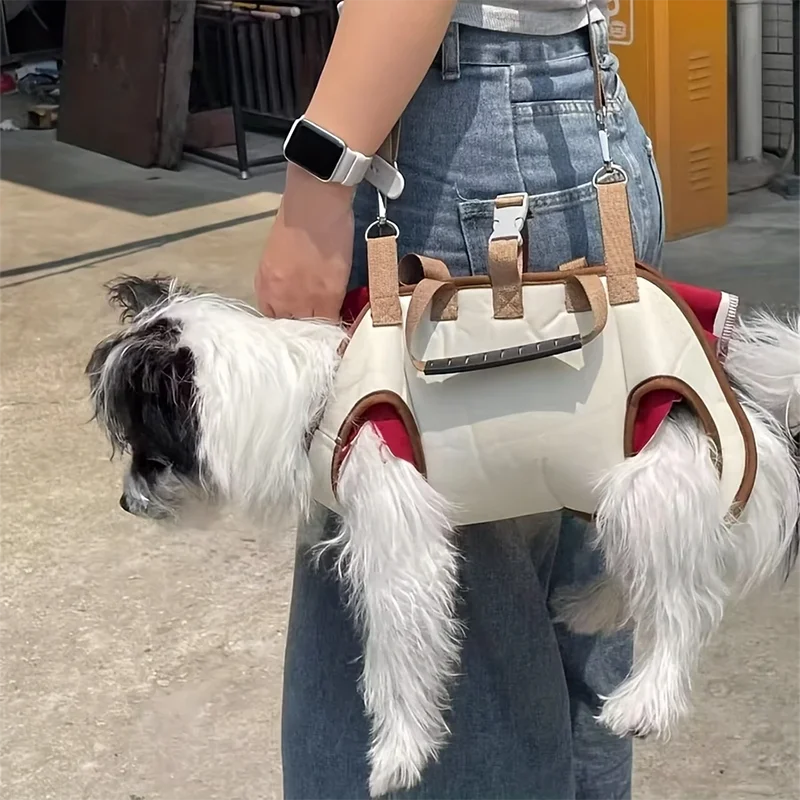 Sac transport animal extérieur réglable clip harnais