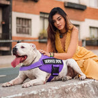 Reflektierendes Hundegeschirr