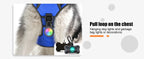 LED-Hundegeschirr