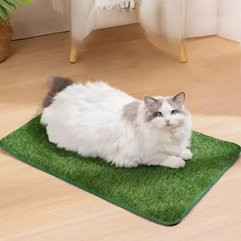 Toilettenpapier für Hunde, Nachahmung von Gas, waschbar, Antidérapant