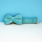 Customizable velvet dog collar
