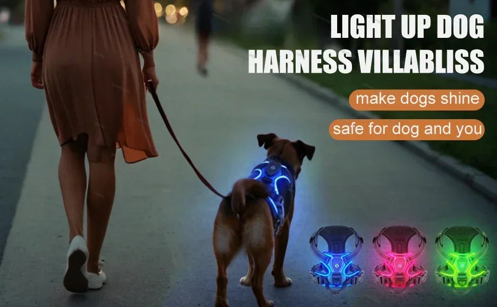 LED-Hundegeschirr