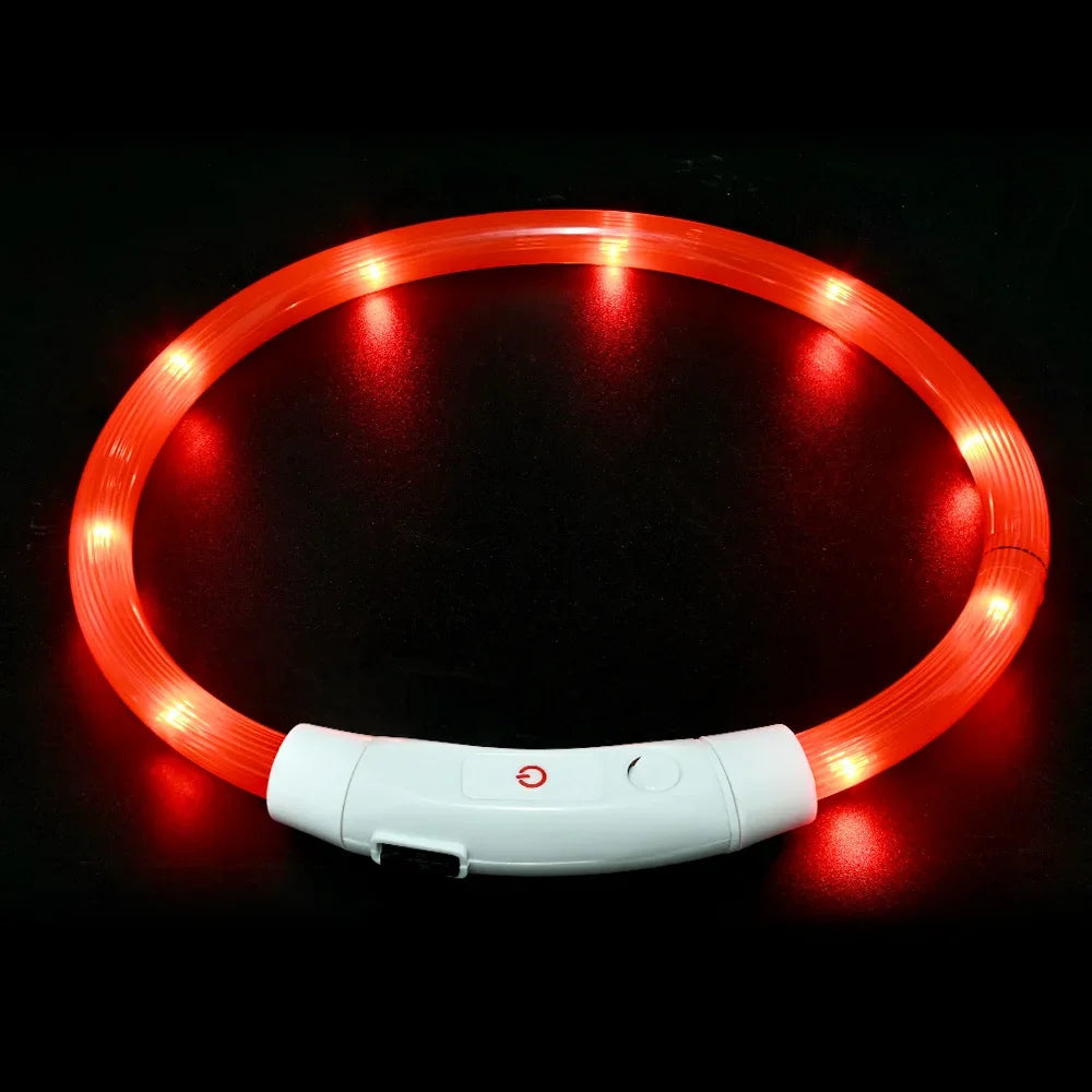 Collier LED-Hunde-USB-Leuchte, wiederaufladbare Nacht 