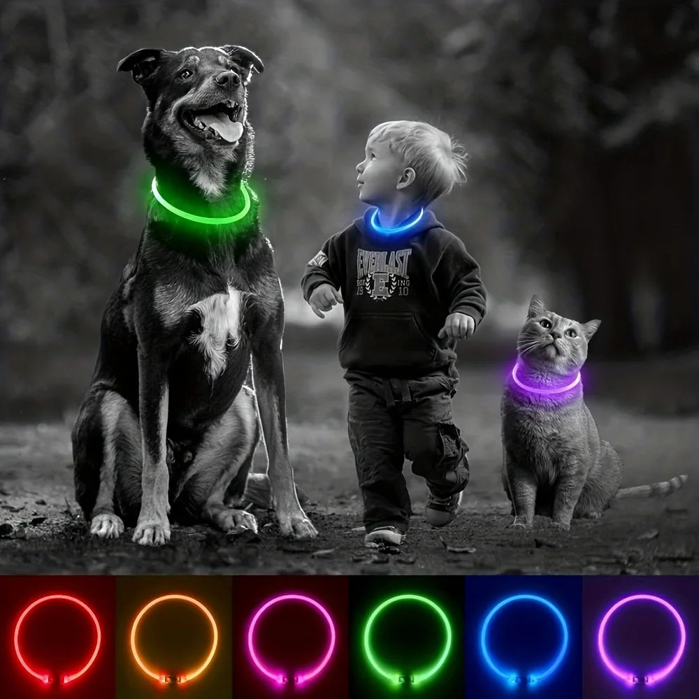 Collier LED-Hunde-USB-Leuchte, wiederaufladbare Nacht 