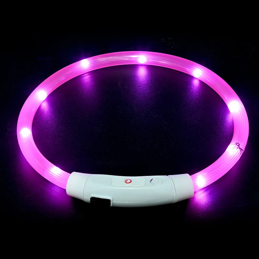 Collier LED-Hunde-USB-Leuchte, wiederaufladbare Nacht 