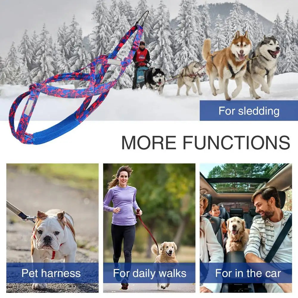 Reflektierendes Hundegeschirr