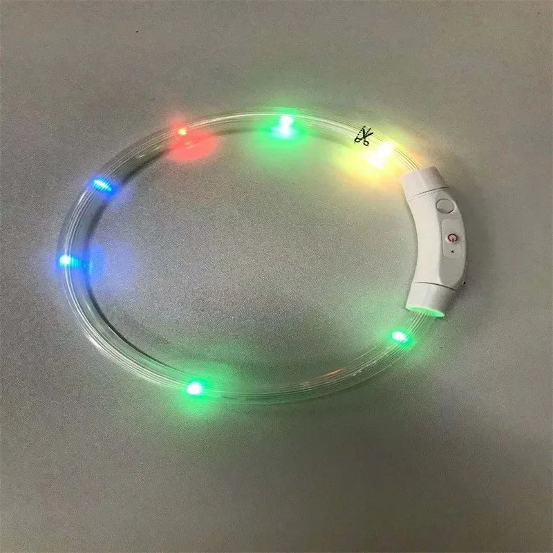Collier LED-Hunde-USB-Leuchte, wiederaufladbare Nacht 