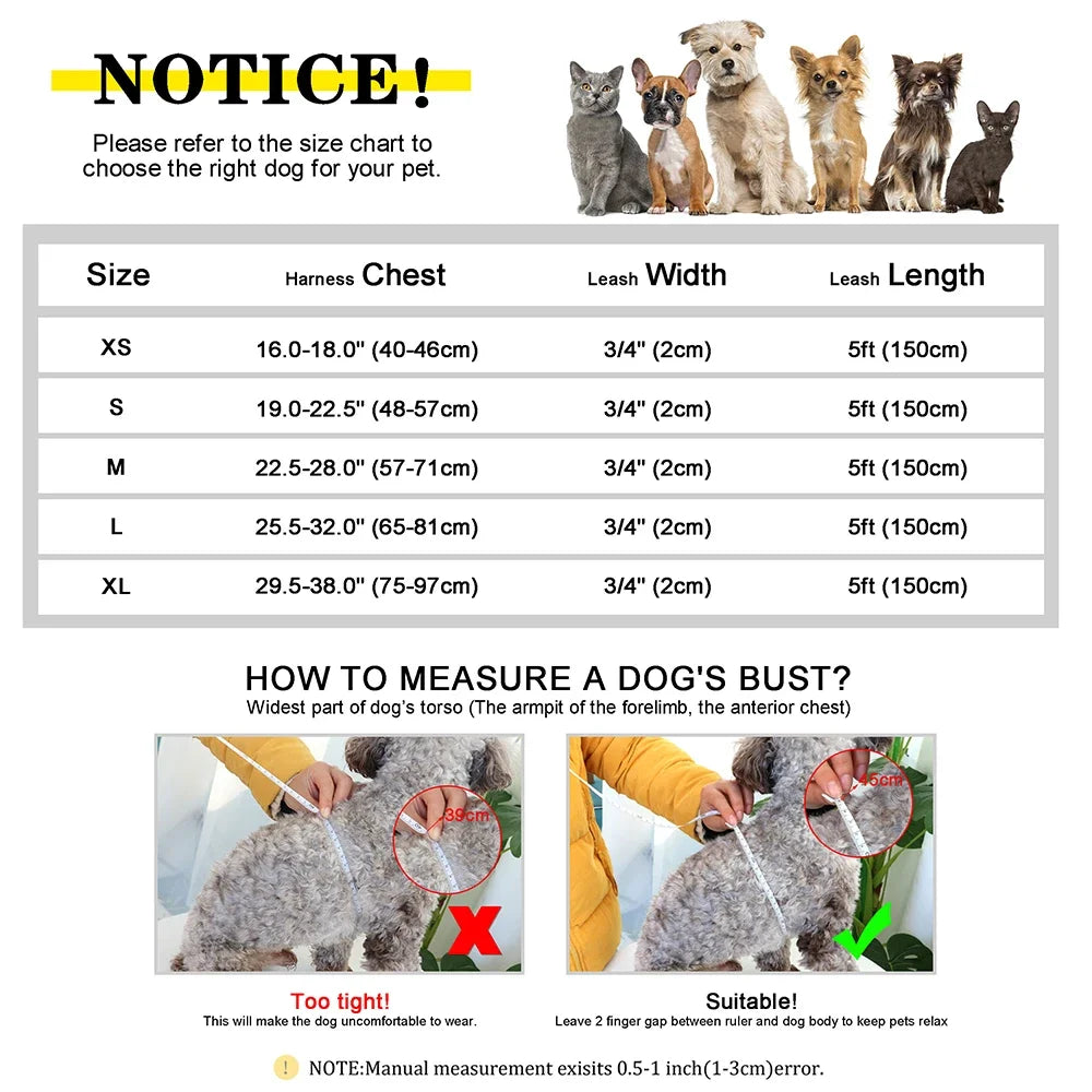 Personalisiertes, graviertes Anti-Zug-Hundegeschirr