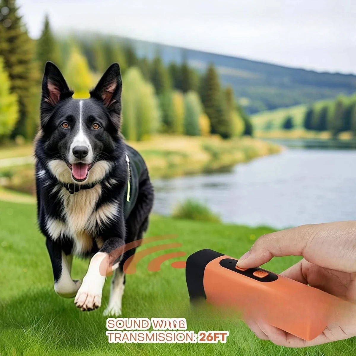 Wiederaufladbare, wiederaufladbare LED mit ultraschallabweisendem Ultraschall gegen Abscheulichkeit 